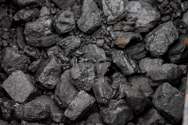 জীবাশ্ম জ্বালানি (Fossil Fuels)