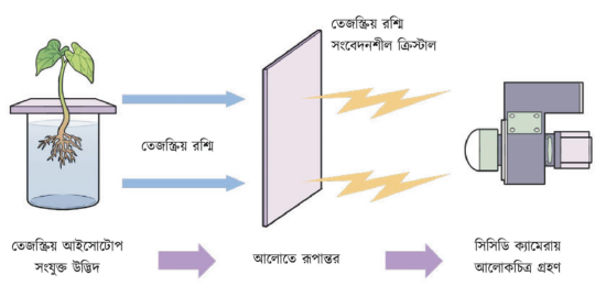 আইসোটোপের কৃষিক্ষেত্রে ব্যবহার