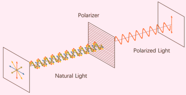 আলোর সমাবর্তন (Polarization of Light)